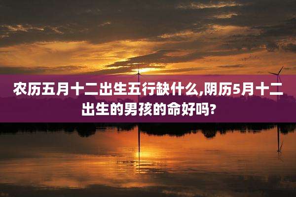 农历五月十二出生五行缺什么,阴历5月十二出生的男孩的命好吗?