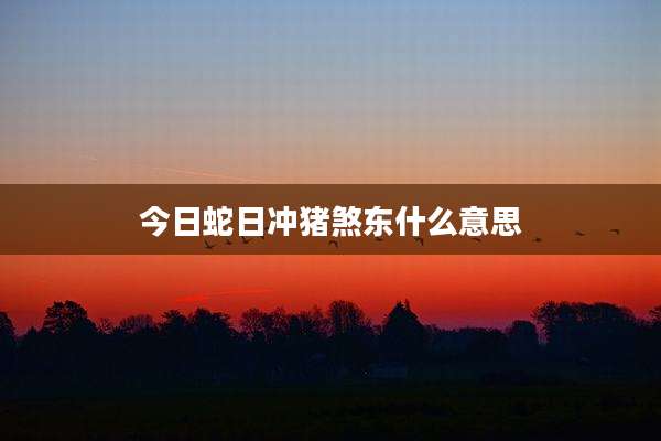 今日蛇日冲猪煞东什么意思