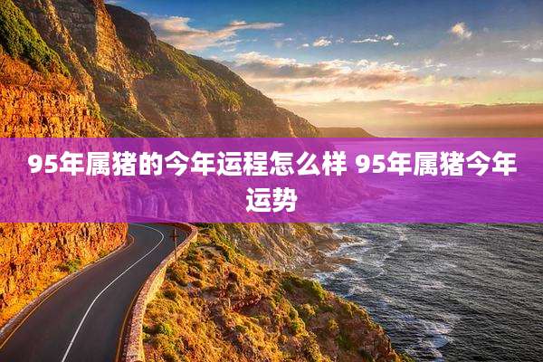 95年属猪的今年运程怎么样 95年属猪今年运势