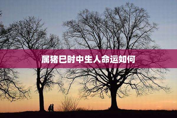 属猪巳时中生人命运如何