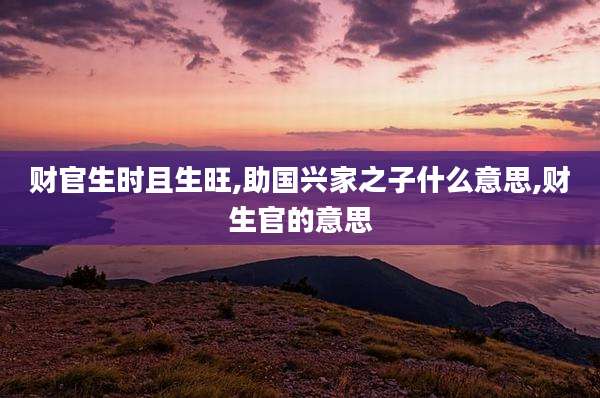 财官生时且生旺,助国兴家之子什么意思,财生官的意思
