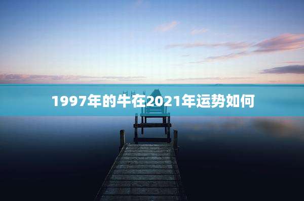 1997年的牛在2021年运势如何