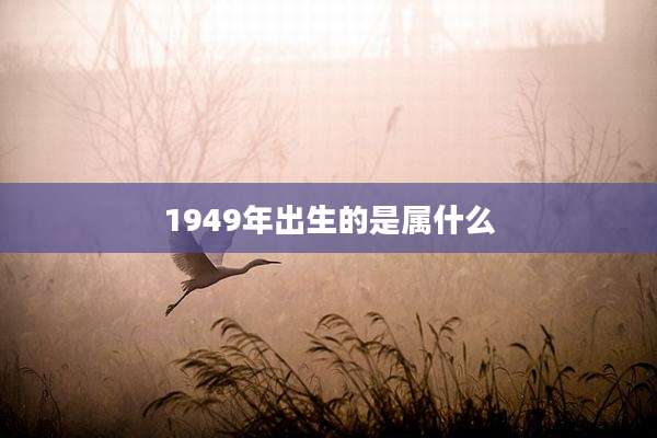 1949年出生的是属什么