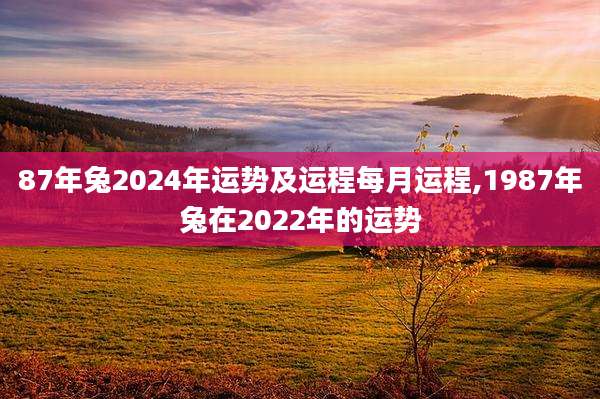 87年兔2024年运势及运程每月运程,1987年兔在2022年的运势