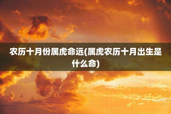 农历十月份属虎命远(属虎农历十月出生是什么命)