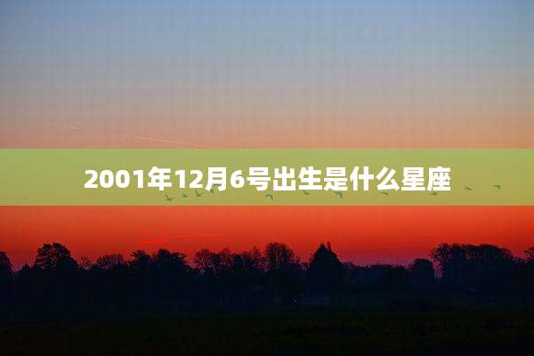 2001年12月6号出生是什么星座