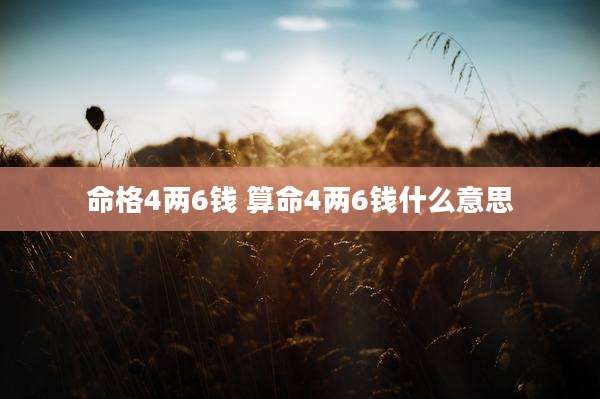 命格4两6钱 算命4两6钱什么意思