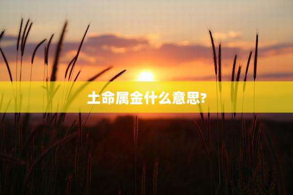 土命属金什么意思?