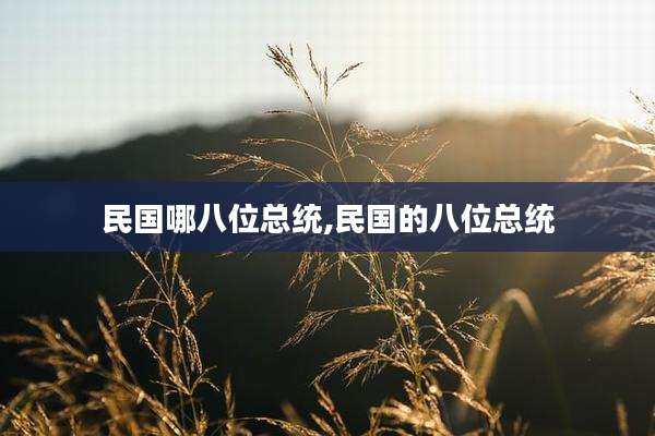 民国哪八位总统,民国的八位总统