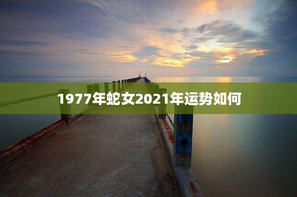 1977年蛇女2021年运势如何