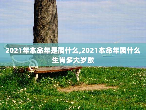 2021年本命年是属什么,2021本命年属什么生肖多大岁数