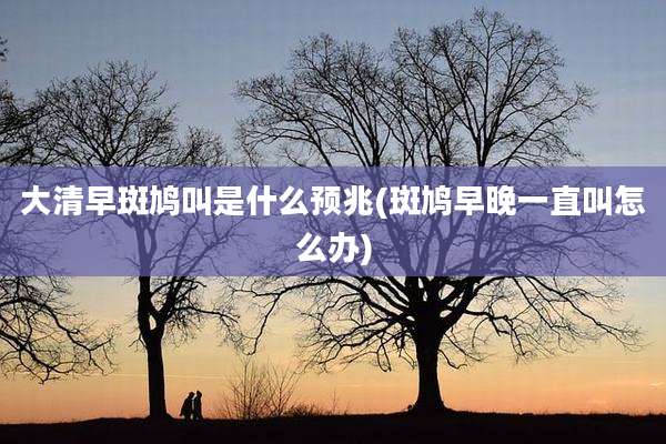 大清早斑鸠叫是什么预兆(斑鸠早晚一直叫怎么办)