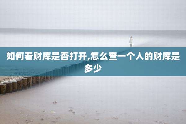 如何看财库是否打开,怎么查一个人的财库是多少