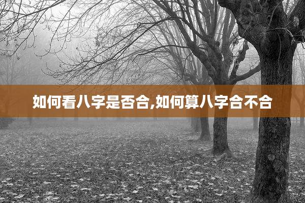 如何看八字是否合,如何算八字合不合