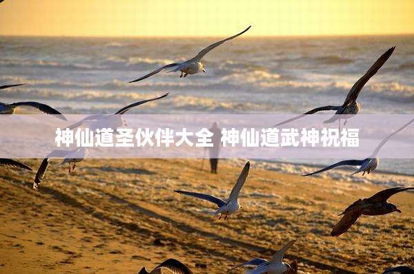 神仙道圣伙伴大全 神仙道武神祝福
