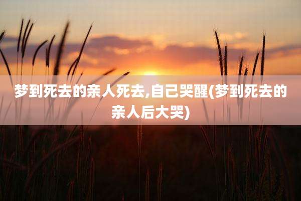 梦到死去的亲人死去,自己哭醒(梦到死去的亲人后大哭)