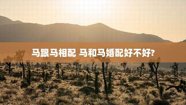 马跟马相配 马和马婚配好不好?