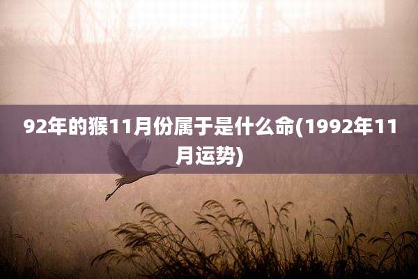 92年的猴11月份属于是什么命(1992年11月运势)