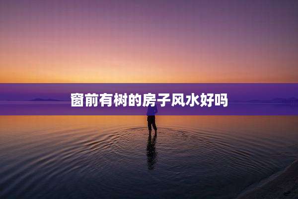窗前有树的房子风水好吗