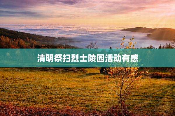 清明祭扫烈士陵园活动有感
