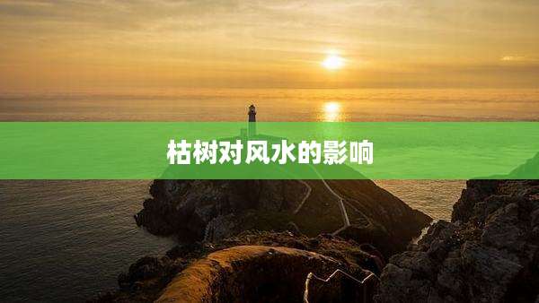 枯树对风水的影响