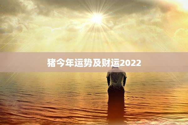 猪今年运势及财运2022