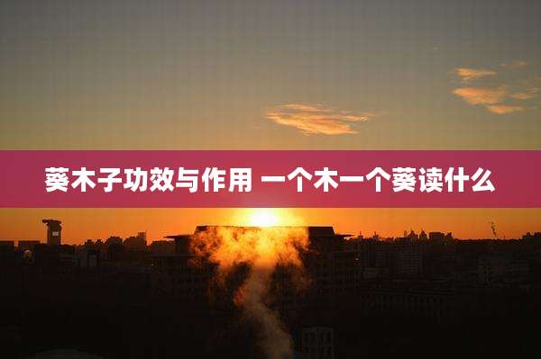 葵木子功效与作用 一个木一个葵读什么
