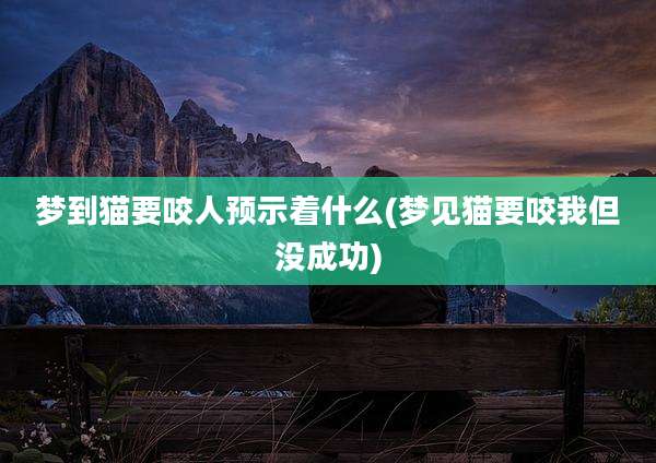 梦到猫要咬人预示着什么(梦见猫要咬我但没成功)