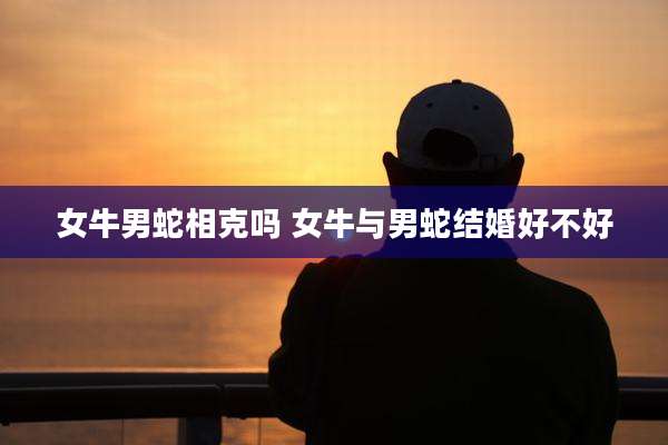 女牛男蛇相克吗 女牛与男蛇结婚好不好