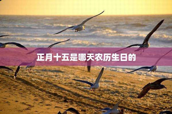 正月十五是哪天农历生日的