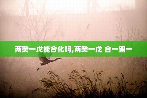 两癸一戊能合化吗,两癸一戊 合一留一