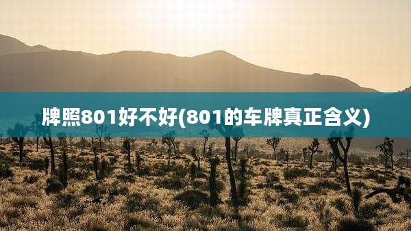 牌照801好不好(801的车牌真正含义)