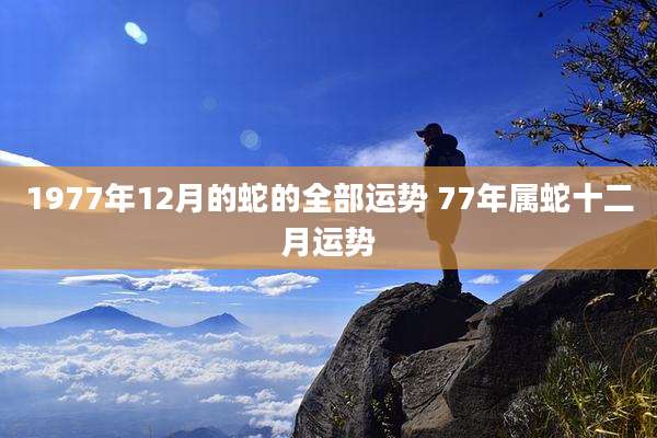 1977年12月的蛇的全部运势 77年属蛇十二月运势