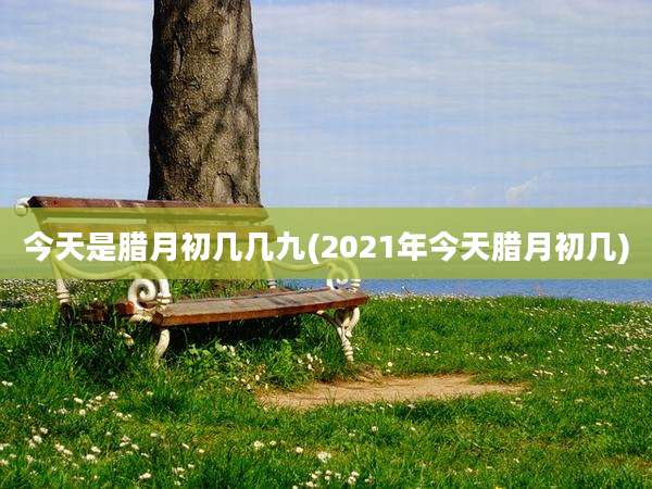 今天是腊月初几几九(2021年今天腊月初几)