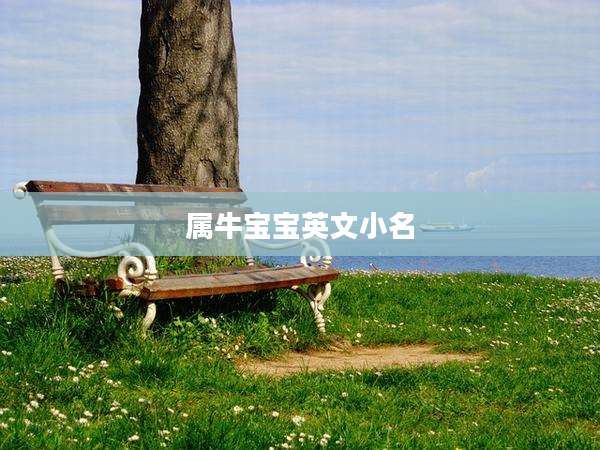 属牛宝宝英文小名