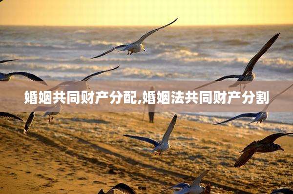 婚姻共同财产分配,婚姻法共同财产分割