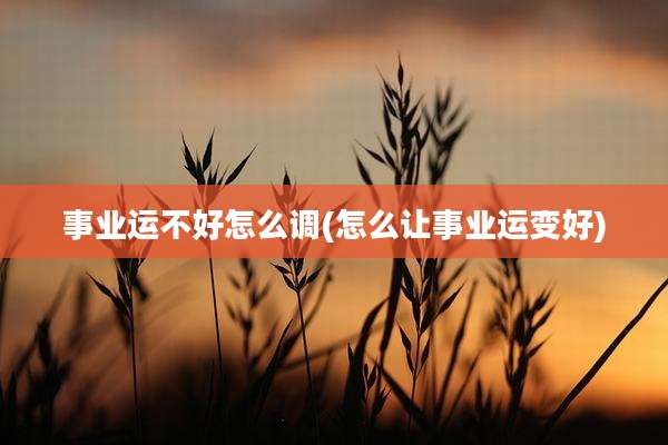 事业运不好怎么调(怎么让事业运变好)