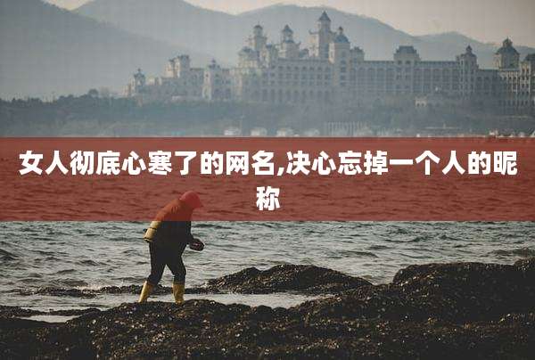 女人彻底心寒了的网名,决心忘掉一个人的昵称