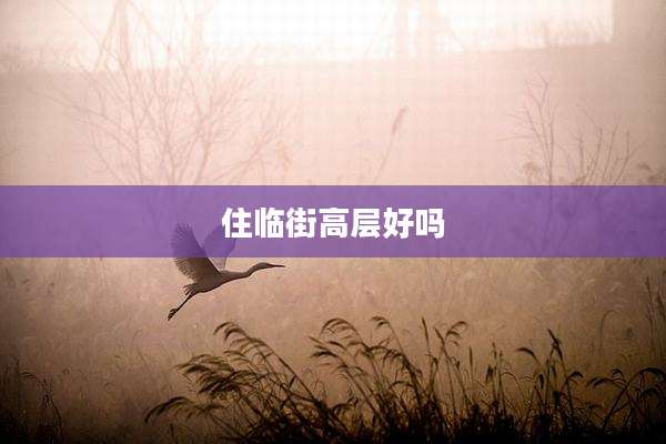 住临街高层好吗