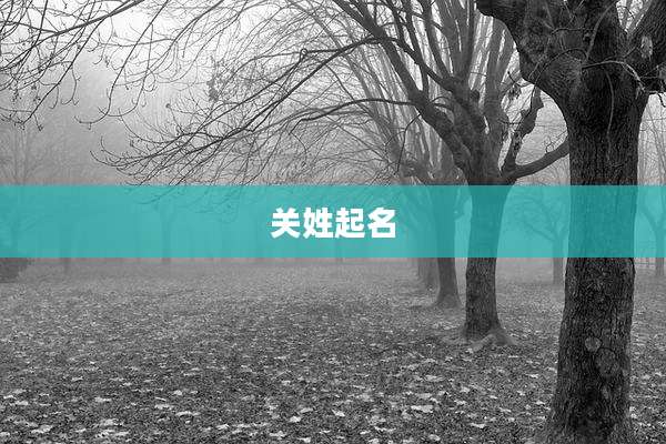 关姓起名