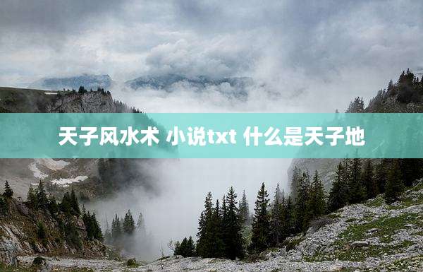 天子风水术 小说txt 什么是天子地