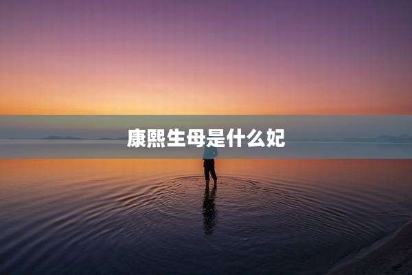 康熙生母是什么妃