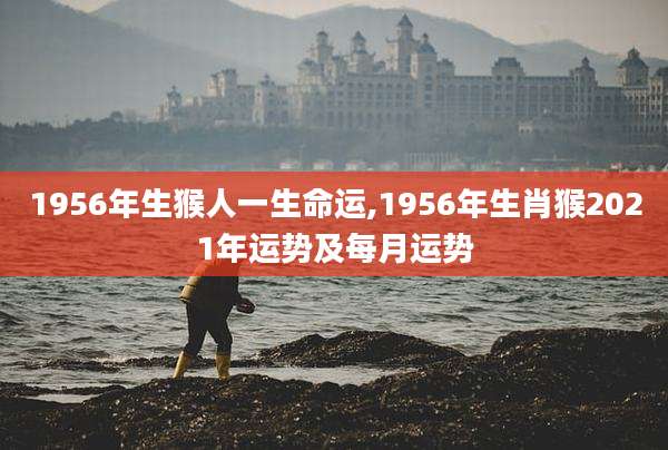 1956年生猴人一生命运,1956年生肖猴2021年运势及每月运势