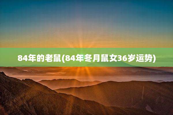 84年的老鼠(84年冬月鼠女36岁运势)