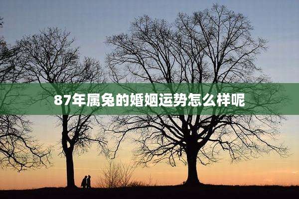 87年属兔的婚姻运势怎么样呢