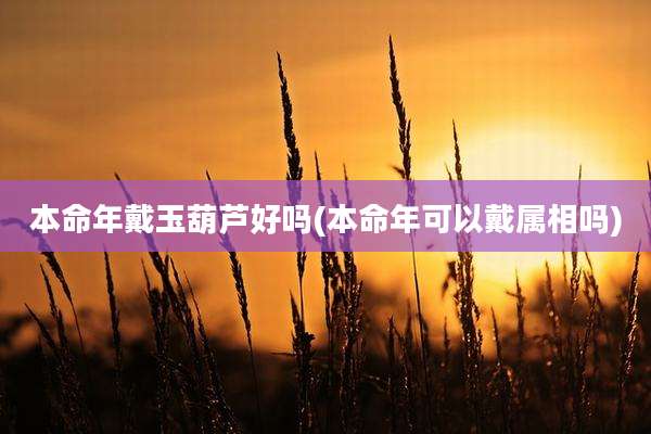 本命年戴玉葫芦好吗(本命年可以戴属相吗)