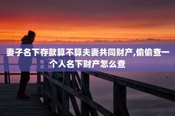 妻子名下存款算不算夫妻共同财产,偷偷查一个人名下财产怎么查