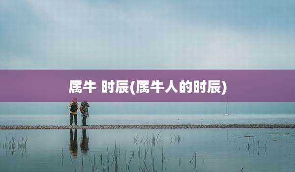 属牛 时辰(属牛人的时辰)