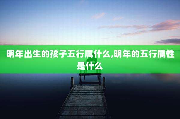 明年出生的孩子五行属什么,明年的五行属性是什么
