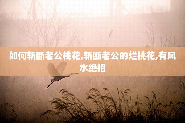 如何斩断老公桃花,斩断老公的烂桃花,有风水绝招